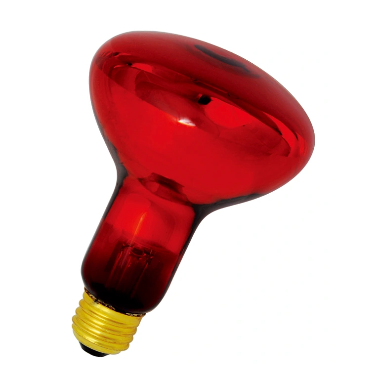 UVA/UVB Lamp for Reptiles